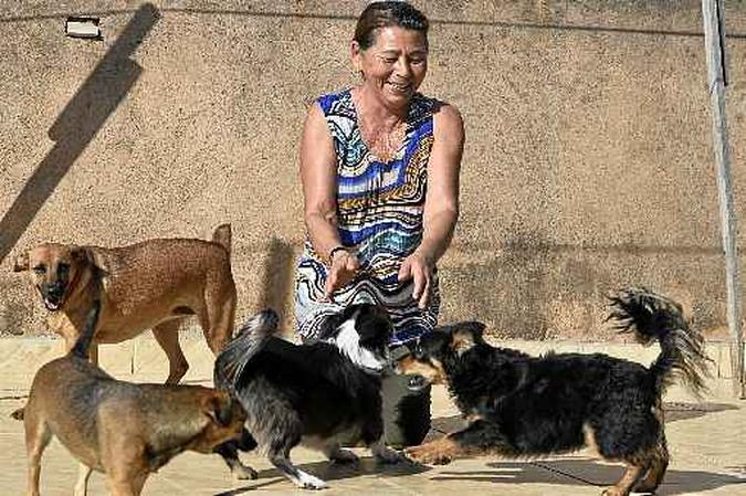 A aposentada Tereza Batista mantém 11 cachorros e 13 gatos adotados em casa, no Riacho Fundo(foto: Minervino Junior/CB/D.A Press) A aposentada Tereza Batista mantém 11 cachorros e 13 gatos adotados em casa, no Riacho Fundo(foto: Minervino Junior/CB/D.A Press)