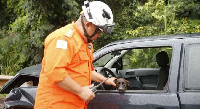O cachorro ficou muito assustado e recebeu carinho do bombeiro(foto: CBMDF/Divulgação) O cachorro ficou muito assustado e recebeu carinho do bombeiro(foto: CBMDF/Divulgação)