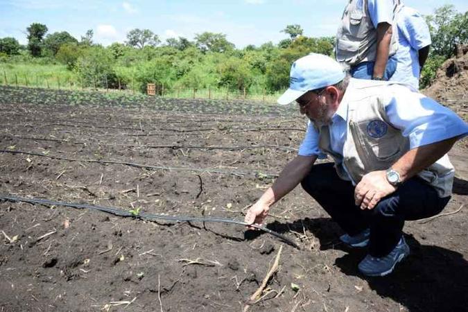 AFP/Arquivos(foto: O diretor-geral da Organização das Nações Unidas para Alimentação e Agricultura, José Graziano da Silva, em Adjumani, em Uganda, em agosto de 2017 ) AFP/Arquivos(foto: O diretor-geral da Organização das Nações Unidas para Alimentação e Agricultura, José Graziano da Silva, em Adjumani, em Uganda, em agosto de 2017 )