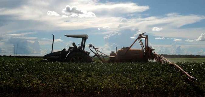 Com a indefinição dos preços, essas empresas se negam a retirar a produção para não terem prejuízos(foto: Iano Andrade/CB/D.A Press) Com a indefinição dos preços, essas empresas se negam a retirar a produção para não terem prejuízos(foto: Iano Andrade/CB/D.A Press)