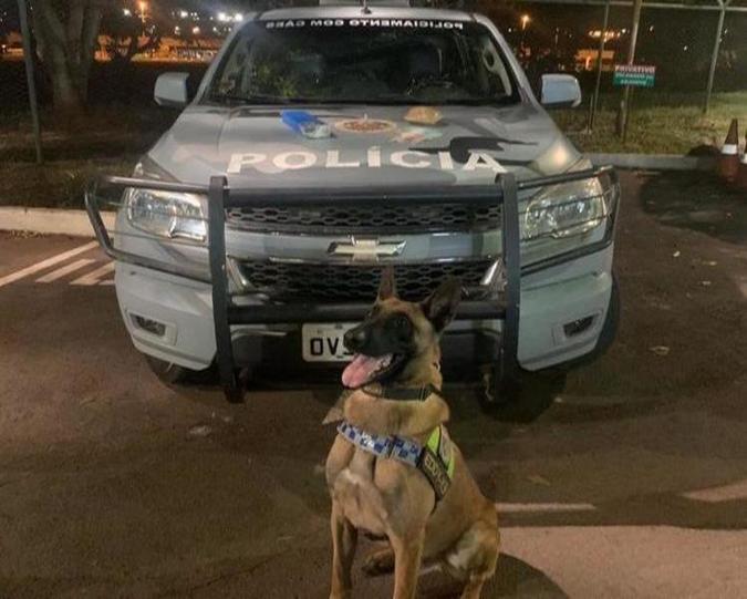 O cachorro encontrou 1kg de maconha e 600g de cocaína em uma mala de um dos passageiros(foto: PMDF/Divulgação) O cachorro encontrou 1kg de maconha e 600g de cocaína em uma mala de um dos passageiros(foto: PMDF/Divulgação)