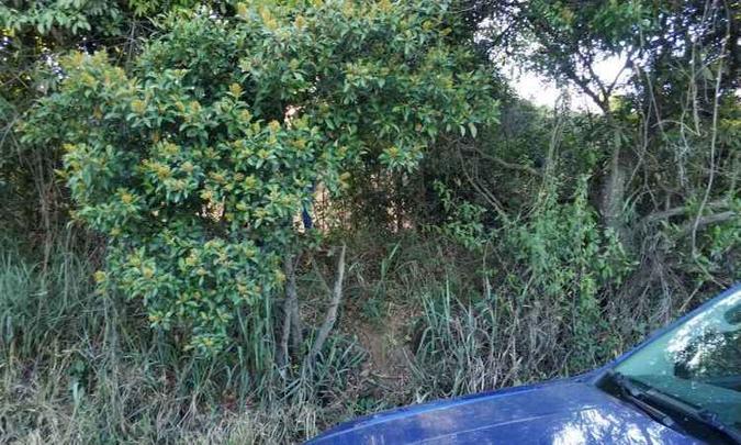 A polícia encontrou corpo de criança ao lado de cadeirinha na BR-242, em um matagal (foto no alto). Suspeita-se de que cadáver seja de Bernardo, de 1 ano e 11 meses, sequestrado pelo pai em 29 de novembro(foto: Polícia Civil da Bahia/Divulgação) A polícia encontrou corpo de criança ao lado de cadeirinha na BR-242, em um matagal (foto no alto). Suspeita-se de que cadáver seja de Bernardo, de 1 ano e 11 meses, sequestrado pelo pai em 29 de novembro(foto: Polícia Civil da Bahia/Divulgação)