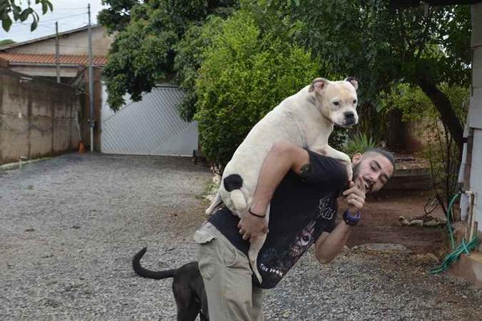 Marcos Vinicius cuida de cachorros como se fossem seus e toda a família entra no negócio(foto: Millena Campello/Esp. CB/D.A Press) Marcos Vinicius cuida de cachorros como se fossem seus e toda a família entra no negócio(foto: Millena Campello/Esp. CB/D.A Press)