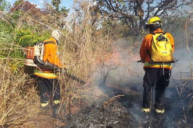 Mais cedo, os militares atuaram durante duas horas e meia no combate ao fogo, na área da UnB(foto: CBMDF/Divulgação) Mais cedo, os militares atuaram durante duas horas e meia no combate ao fogo, na área da UnB(foto: CBMDF/Divulgação)