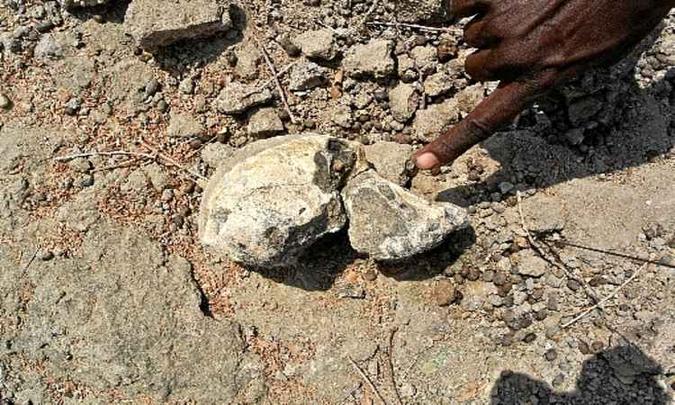 Reconstituição artística da aparência do indivíduo ao qual pertenceu o crânio completo de 3,8 milhões de anos encontrado na África: até então, cientistas só tinham achado dentes e fragmentos ósseos do hominídeo(foto: Yohannes Haile-Selassie, Cleveland Museum of Natural History/Divulgação) Reconstituição artística da aparência do indivíduo ao qual pertenceu o crânio completo de 3,8 milhões de anos encontrado na África: até então, cientistas só tinham achado dentes e fragmentos ósseos do hominídeo(foto: Yohannes Haile-Selassie, Cleveland Museum of Natural History/Divulgação)