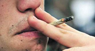 Histórico de ansiedade na adolescência aumenta incidência de consumo vicioso da maconha (foto: Martin Bernetti/AFP) Histórico de ansiedade na adolescência aumenta incidência de consumo vicioso da maconha (foto: Martin Bernetti/AFP)