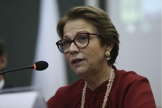 (foto: José Cruz/Agência Brasil) (foto: José Cruz/Agência Brasil)