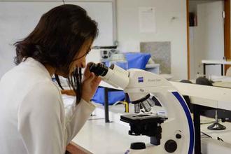 UnB abre inscrições para curso de especialização gratuito para professores