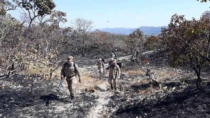 Bombeiros combatem o incêndio(foto: Corpo de Bombeiros Militar do Estado de Goiás/ reprodução ) Bombeiros combatem o incêndio(foto: Corpo de Bombeiros Militar do Estado de Goiás/ reprodução )