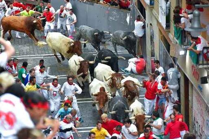 Participantes correm ao lado de Miura lutando touros no último tour do festival de São Fermino, em Pamplona.(foto: Ander Gillenea/AFP) Participantes correm ao lado de Miura lutando touros no último tour do festival de São Fermino, em Pamplona.(foto: Ander Gillenea/AFP)
