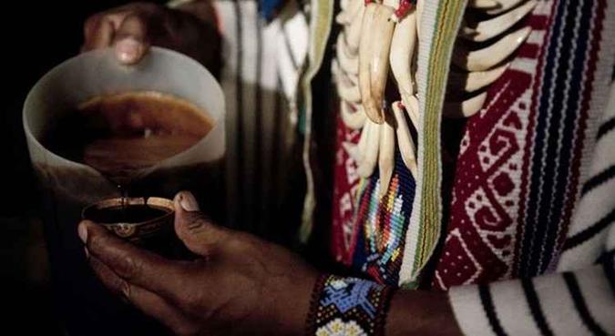Preparação de chá de ayahuasca para ritual na Colômbia: planta tem substância que, em laboratório, estimulou a produção de neurônios(foto: Eitan Abramovich/AFP) Preparação de chá de ayahuasca para ritual na Colômbia: planta tem substância que, em laboratório, estimulou a produção de neurônios(foto: Eitan Abramovich/AFP)