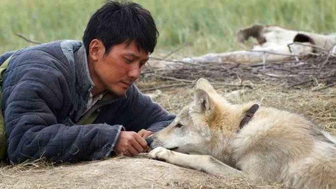 Filme do francês Jean-Jacques Annaud retrata a natureza, a exemplo do clássico dele, O urso(foto: Reprodução/ Internet) Filme do francês Jean-Jacques Annaud retrata a natureza, a exemplo do clássico dele, O urso(foto: Reprodução/ Internet)