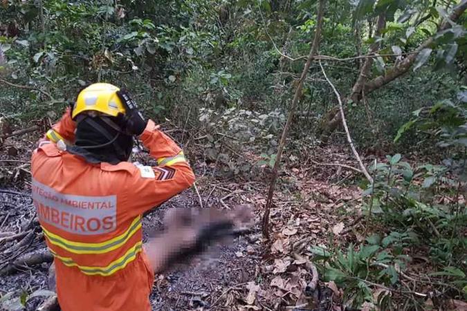 Corpo de Charles de Souza Bezerra, 13 anos, foi encontrado no Parque Lago do Cortado, em Taguatinga Norte, em 23 de agosto(foto: Divulgação/CBMDF) Corpo de Charles de Souza Bezerra, 13 anos, foi encontrado no Parque Lago do Cortado, em Taguatinga Norte, em 23 de agosto(foto: Divulgação/CBMDF)