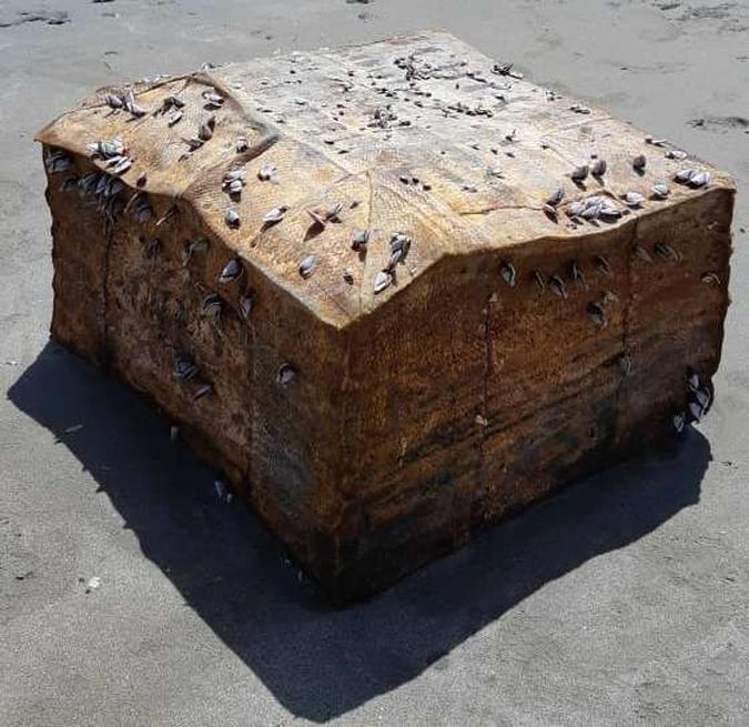 Os pesquisadores consideram que material é oriundo de um navio alemão torpedeado por tropas americanas próximo a Recife durante a Segunda Guerra (Foto: Marcus Davis) (foto: Marcus Davis/UFC ) Os pesquisadores consideram que material é oriundo de um navio alemão torpedeado por tropas americanas próximo a Recife durante a Segunda Guerra (Foto: Marcus Davis) (foto: Marcus Davis/UFC )
