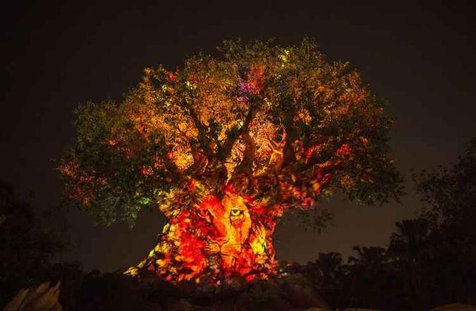 (foto: Walt Disney World/Divulgação) (foto: Walt Disney World/Divulgação)