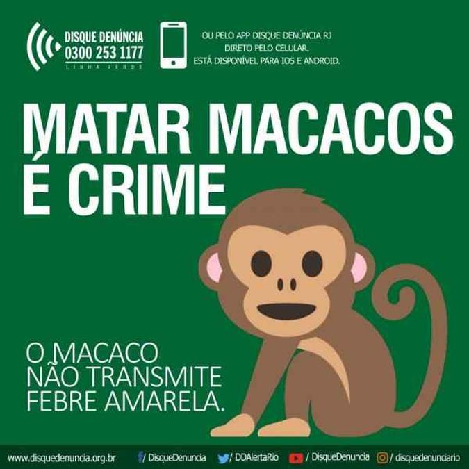 As denúncias recebidas pelo Linha Verde serão encaminhadas ao Comando de Polícia Ambiental e à Delegacia de Proteção ao Meio Ambiente(foto: Divulgação) As denúncias recebidas pelo Linha Verde serão encaminhadas ao Comando de Polícia Ambiental e à Delegacia de Proteção ao Meio Ambiente(foto: Divulgação)