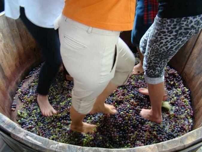 A pisa da uva ocorre apenas no começo do ano, mas é a partir daí que inicia a produção do vinho(foto: Alfredo Duraes/EM/D.A Press - 19/8/14) A pisa da uva ocorre apenas no começo do ano, mas é a partir daí que inicia a produção do vinho(foto: Alfredo Duraes/EM/D.A Press - 19/8/14)