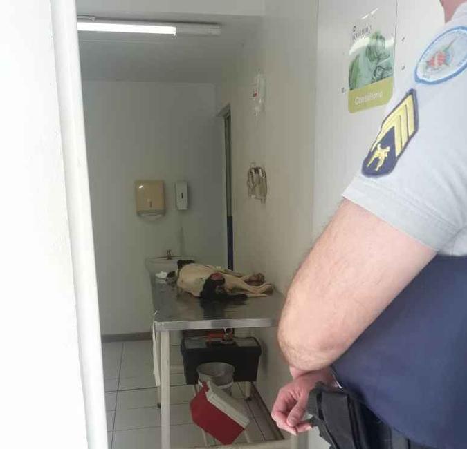 (foto: Divulgação / Polícia Militar do DF) (foto: Divulgação / Polícia Militar do DF)