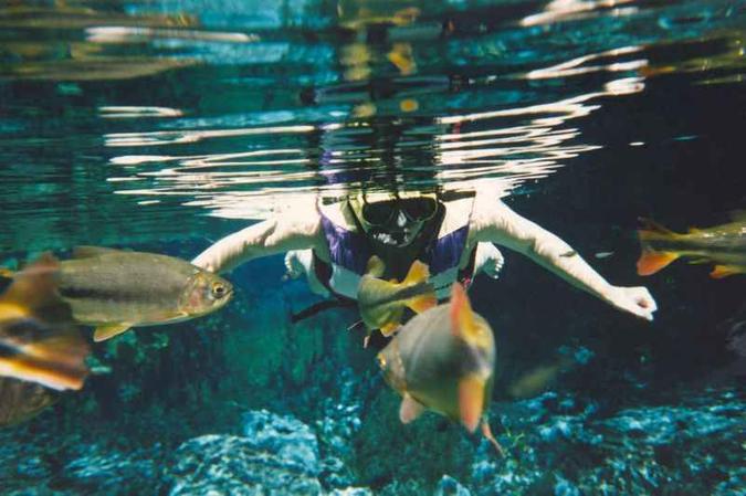 A proximidade com os turistas pode deixar os animais mais vulneráveis aos predadores, mostra uma das pesquisas(foto: Zuleika de Souza/CB/D.A Press ) A proximidade com os turistas pode deixar os animais mais vulneráveis aos predadores, mostra uma das pesquisas(foto: Zuleika de Souza/CB/D.A Press )