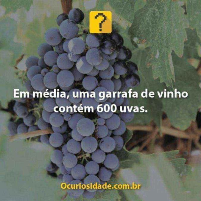 Instagram/Reprodução Instagram/Reprodução