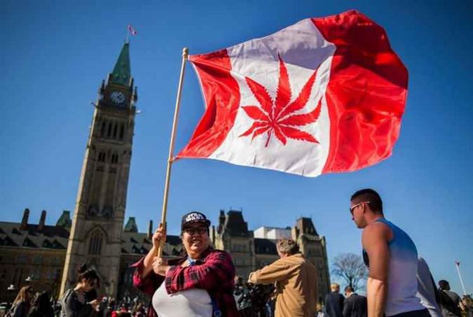 No Canadá, o consumo de maconha é permitido com fins medicinais desde 2011(foto: Chris Roussakis / AFP) No Canadá, o consumo de maconha é permitido com fins medicinais desde 2011(foto: Chris Roussakis / AFP)
