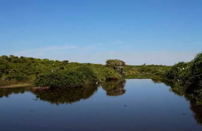 O Pantanal, no Centro-Oeste do país, é uma das principais áreas úmidas brasileiras para gestão verde da água(foto: Ana Rayssa/Esp. CB/D.A Press) O Pantanal, no Centro-Oeste do país, é uma das principais áreas úmidas brasileiras para gestão verde da água(foto: Ana Rayssa/Esp. CB/D.A Press)