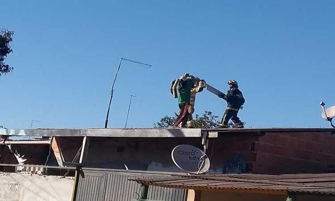 Após 40 minutos de negociação, dois bombeiros subiram no telhado e foram recebidos de forma agressiva pelo homem(foto: Divulgação/CBMDF) Após 40 minutos de negociação, dois bombeiros subiram no telhado e foram recebidos de forma agressiva pelo homem(foto: Divulgação/CBMDF)