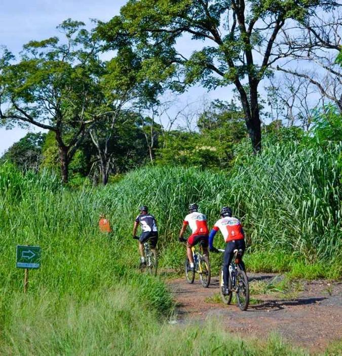 (foto: Parque Estadual Altamiro de Moura Pacheco/CB/Reprodução/D.A Press) (foto: Parque Estadual Altamiro de Moura Pacheco/CB/Reprodução/D.A Press)