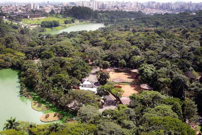 (foto: Fundação Parque Zoológico de São Paulo/Reprodução) (foto: Fundação Parque Zoológico de São Paulo/Reprodução)