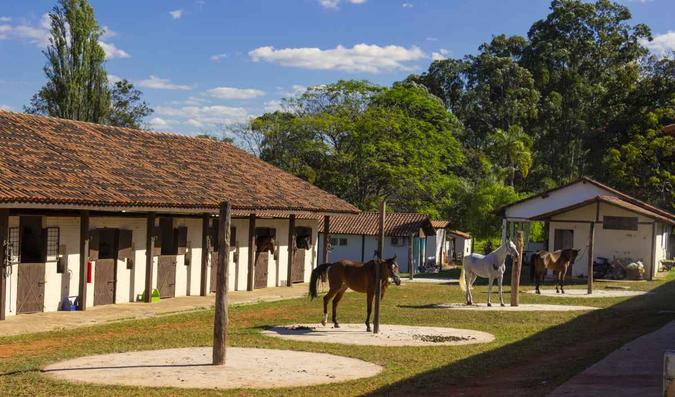 O hipismo é o forte do Brasília Country(foto: Vinicius Cardoso/Esp. CB/D.A Press) O hipismo é o forte do Brasília Country(foto: Vinicius Cardoso/Esp. CB/D.A Press)