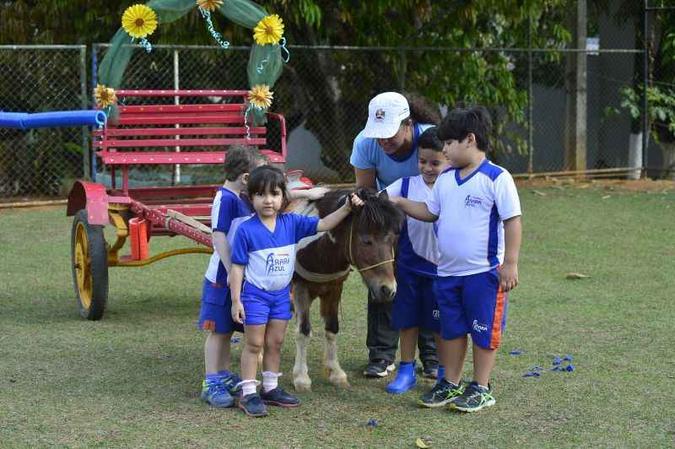 Alunos da Escola Arara Azul têm contato direto com os animais, entre eles os pôneis(foto: Marcelo Ferreira/CB/D.A Press) Alunos da Escola Arara Azul têm contato direto com os animais, entre eles os pôneis(foto: Marcelo Ferreira/CB/D.A Press)