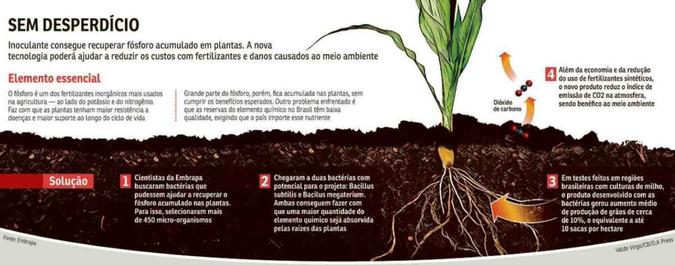 (foto: Valdo Virgo/CB/D.A Press )