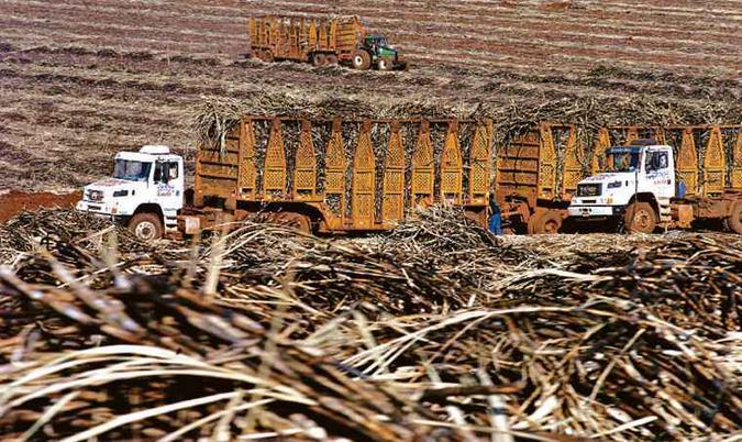 Brasil assinou acordo para a redução de 144 mil toneladas de açúcar em alimentos industrializados até 2022(foto: Marcos Michelin/EM/D.A PRESS) Brasil assinou acordo para a redução de 144 mil toneladas de açúcar em alimentos industrializados até 2022(foto: Marcos Michelin/EM/D.A PRESS)