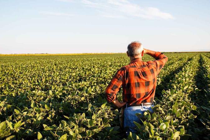 Nova linha de crédito poderá ser paga em até 12 anos(foto: Arquivo/Agência Brasil) Nova linha de crédito poderá ser paga em até 12 anos(foto: Arquivo/Agência Brasil)