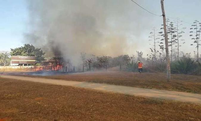 Nos oito primeiros dias de em outubro, houveram 387 incêndios em vegetação. A área contabilizou 378 hectares(foto: Divulgação/CBMDF) Nos oito primeiros dias de em outubro, houveram 387 incêndios em vegetação. A área contabilizou 378 hectares(foto: Divulgação/CBMDF)