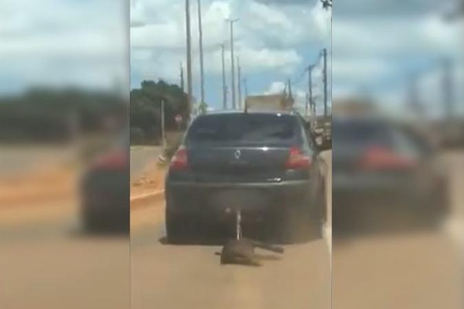 Cachorro amarrado no engate do carro(foto: (foto: Reprodução/Facebook)) Cachorro amarrado no engate do carro(foto: (foto: Reprodução/Facebook))