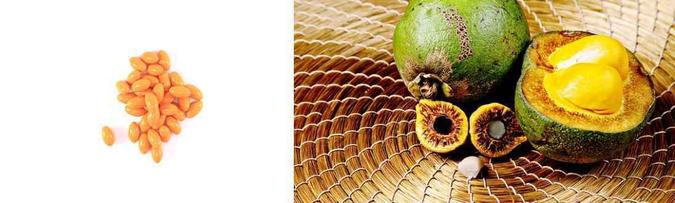 Para quem não gosta do sabor ou cheiro do pequi, uma solução é consumir a fruta em cápsulas (detalhe) (foto: Divulgação) Para quem não gosta do sabor ou cheiro do pequi, uma solução é consumir a fruta em cápsulas (detalhe) (foto: Divulgação)