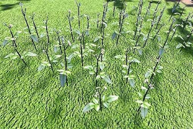 Jogo imersivo permite a observação de fenômenos naturais raros Jogo imersivo permite a observação de fenômenos naturais raros