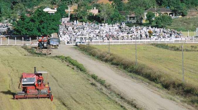 Já para o arroz, a Conab espera que a próxima safra resulte em 11,6 milhões de toneladas.(foto: Helio Campos Mello/O Globo) Já para o arroz, a Conab espera que a próxima safra resulte em 11,6 milhões de toneladas.(foto: Helio Campos Mello/O Globo)