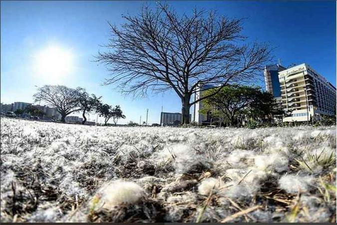 Umidade relativa do ar deve ficar entre 90% e 25% (foto: Ed Alves/CB/D.A Press) Umidade relativa do ar deve ficar entre 90% e 25% (foto: Ed Alves/CB/D.A Press)