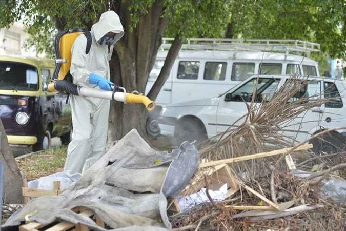 Além do vírus mayaro, o Aedes aegypti transite o chicungunha, a dengue e a zika(foto: Marcelo Ferreira/CB/D.A Press) Além do vírus mayaro, o Aedes aegypti transite o chicungunha, a dengue e a zika(foto: Marcelo Ferreira/CB/D.A Press)