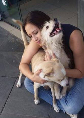 A produtora de eventos Natália Ligieri apadrinhou cinco cachorros(foto: Arquivo Pessoal) A produtora de eventos Natália Ligieri apadrinhou cinco cachorros(foto: Arquivo Pessoal)
