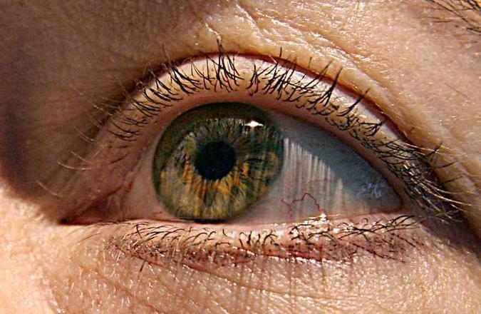 Apenas recentemente foi possível criar essas estruturas com células-tronco para substituir as células danificadas pela degeneração macular(foto: Karen Bleier/Files/AFP) Apenas recentemente foi possível criar essas estruturas com células-tronco para substituir as células danificadas pela degeneração macular(foto: Karen Bleier/Files/AFP)