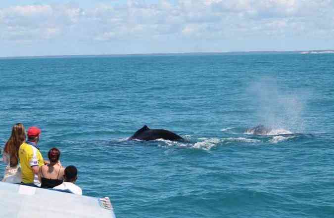 Porto Seguro E Um Destino Para Todos Os Gostos Turismo