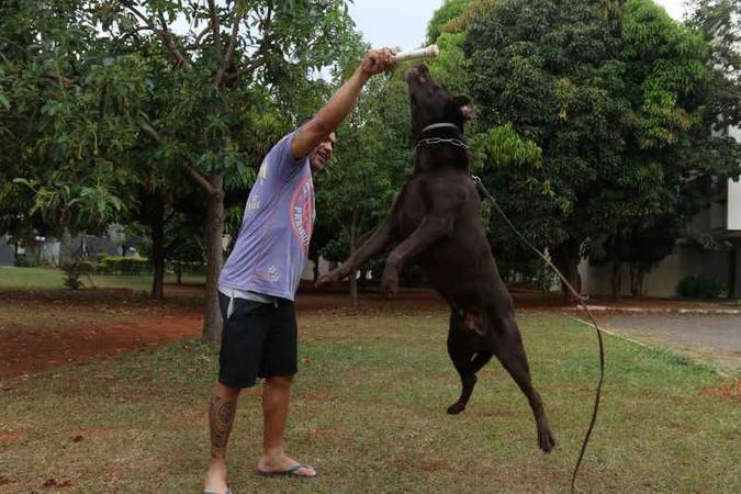 Adoção De Cães De Raça Rj 2015 Saiba O Que Acontece Com Os Caes Militares Aposentados Revista