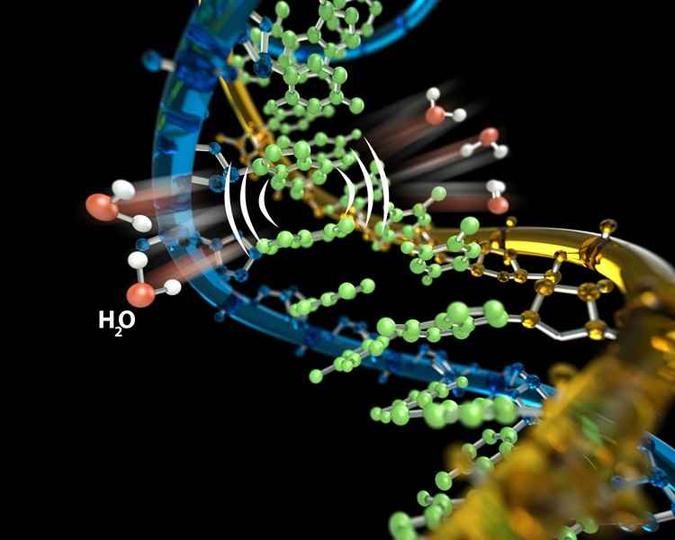 Molécula de DNA(foto: UCSB/Divulgação Ciência) Molécula de DNA(foto: UCSB/Divulgação Ciência)