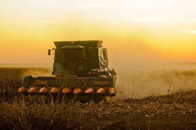 Os dados do IBGE mostram que a agropecuária foi o setor que mais impulsionaram o PIB pela ótica da oferta do terceiro trimestre(foto: Rafael Ohana/CB/D.A Press) Os dados do IBGE mostram que a agropecuária foi o setor que mais impulsionaram o PIB pela ótica da oferta do terceiro trimestre(foto: Rafael Ohana/CB/D.A Press)
