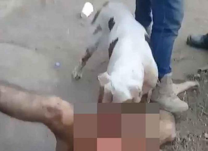 Uma das cenas do vídeo feito pelo grupo criminoso: gangues do México recorrem a torturas cada vez mais violentas(foto: Reprodução) Uma das cenas do vídeo feito pelo grupo criminoso: gangues do México recorrem a torturas cada vez mais violentas(foto: Reprodução)