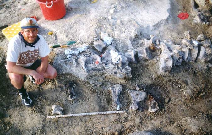 Pata do braquiossauro encontrada em 1998(foto: HO / UNIVERSITY OF KANSAS DIVISION OF VERTEBRATE PALEONTOLOGY / AFP) Pata do braquiossauro encontrada em 1998(foto: HO / UNIVERSITY OF KANSAS DIVISION OF VERTEBRATE PALEONTOLOGY / AFP)