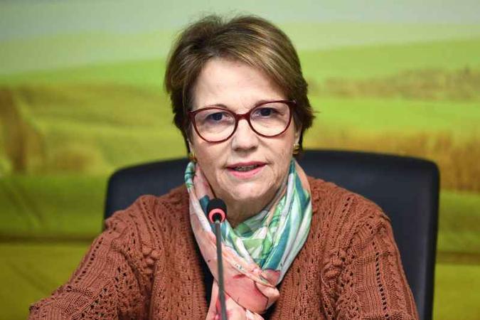 Fala da ministra ocorreu em Palmas, durante a inauguração de um frigorifico (foto: EVARISTO SA/AFP) Fala da ministra ocorreu em Palmas, durante a inauguração de um frigorifico (foto: EVARISTO SA/AFP)
